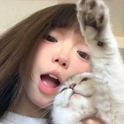 征服